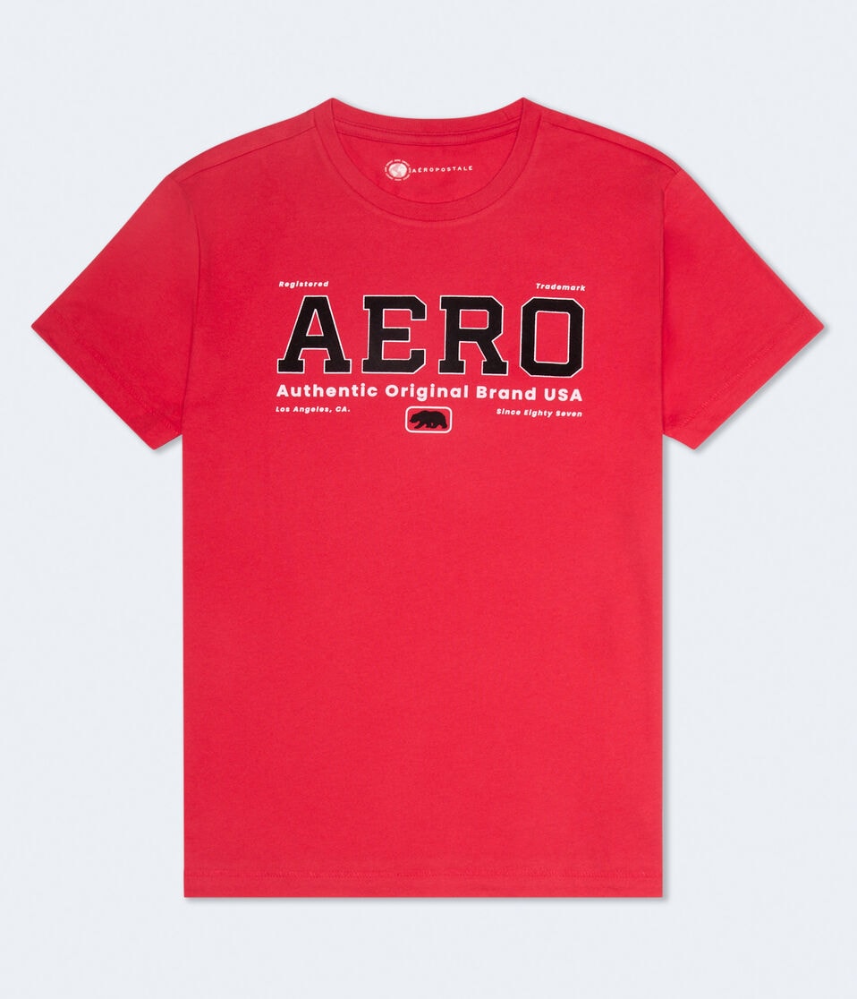 Aero Original Brand Flocked Graphic Tee