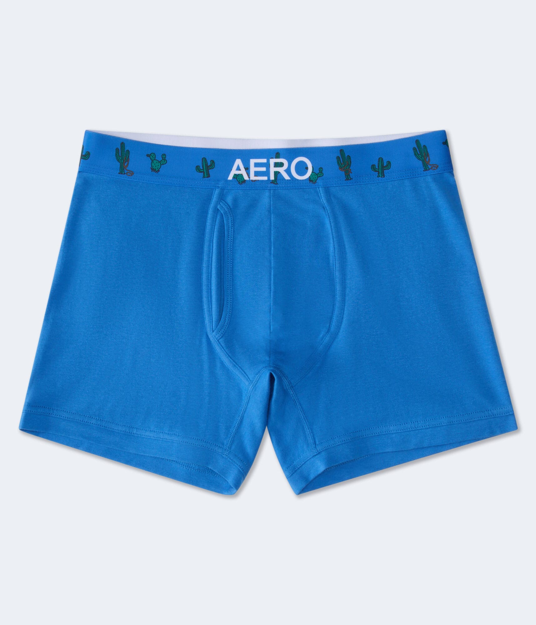 Cactus Waistband 4.5" Boxer Brief