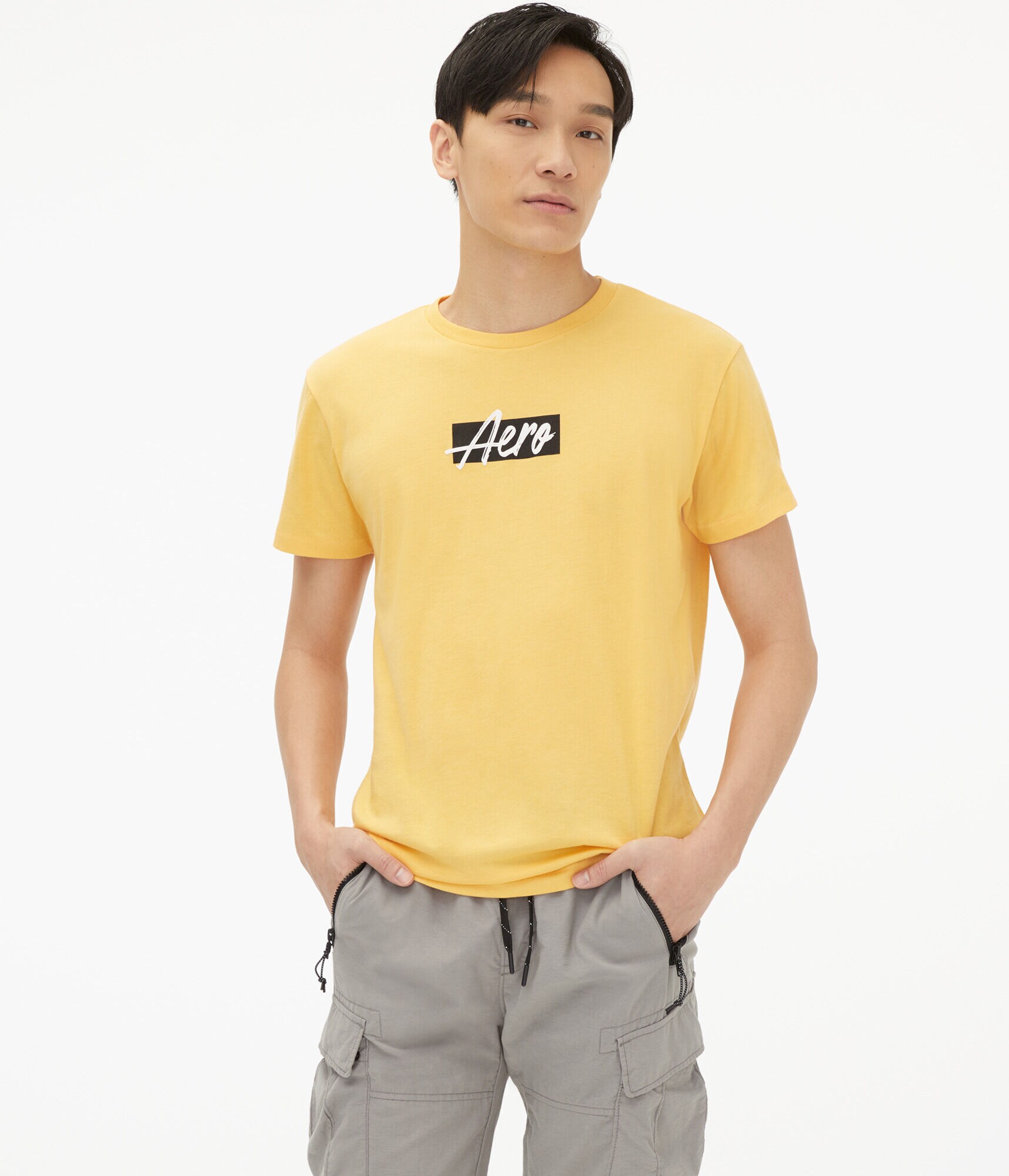 Aero Script Box Logo Graphic Tee