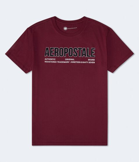 Aeropostale Authentic Logo Flocked Graphic Tee Aeropostale Authentic Logo Flocked Graphic Tee