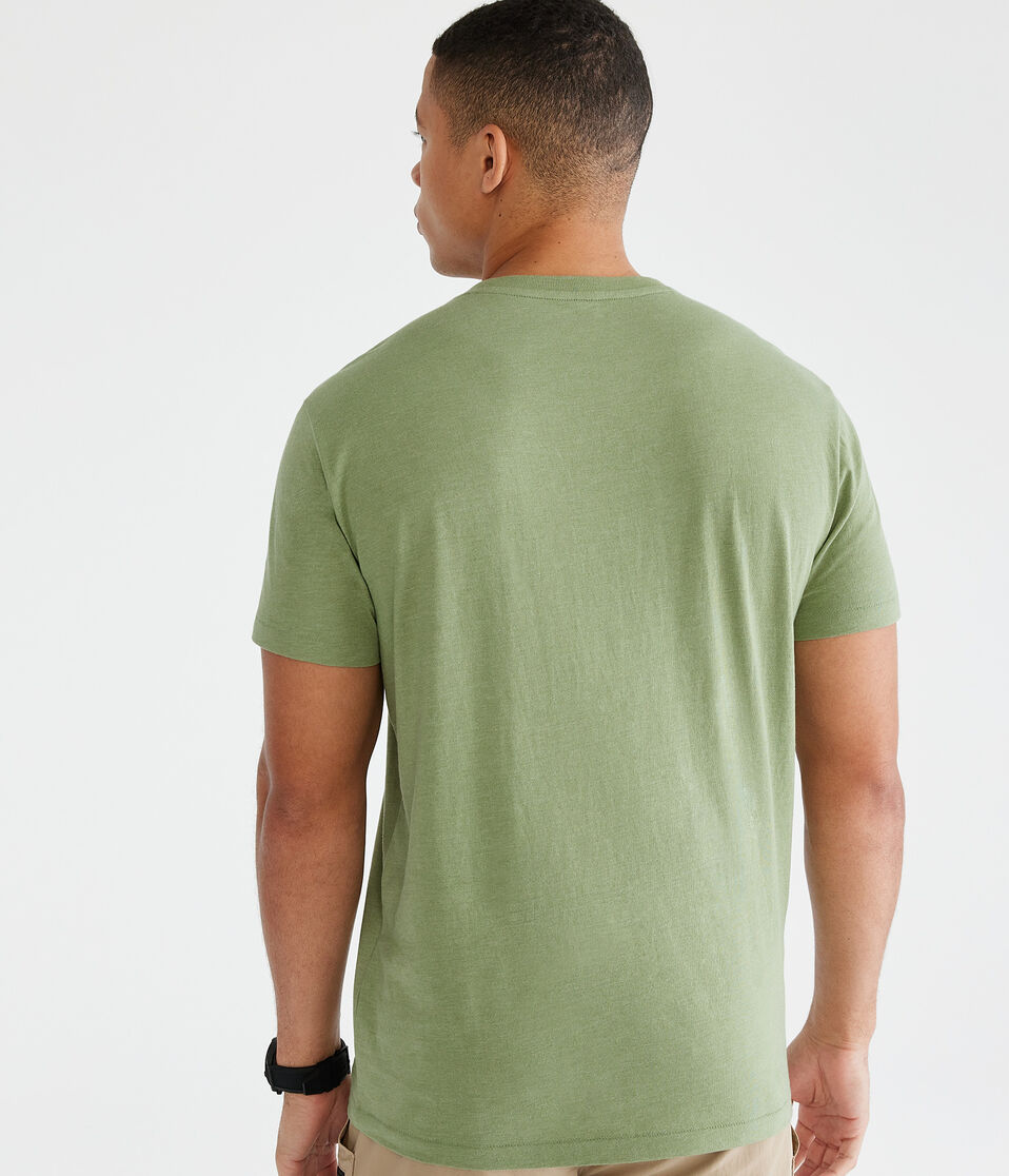 Aeropostale Script Logo Appliqué Graphic Tee