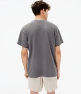 Denali Wolf Graphic Tee