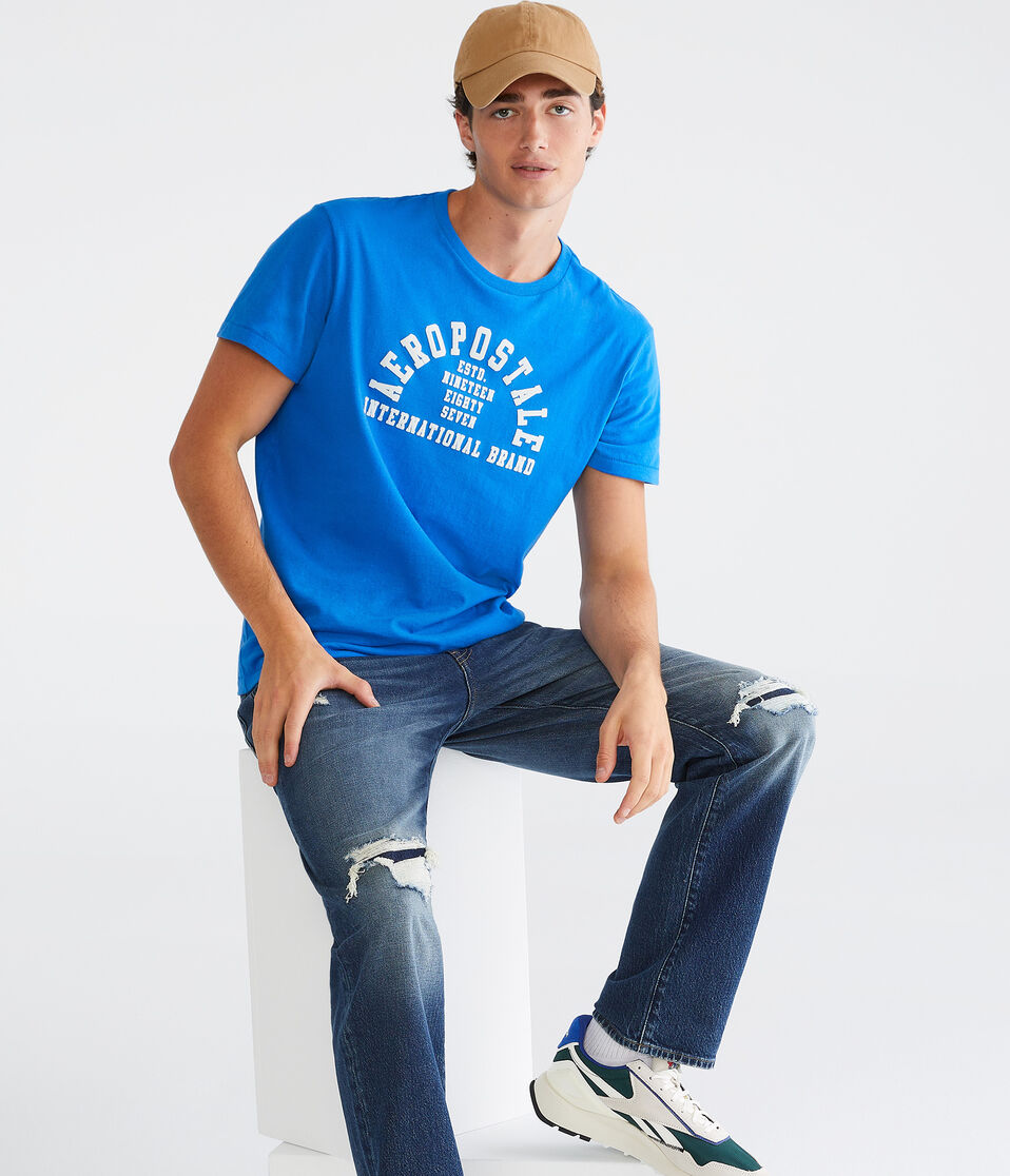 Aeropostale Arch Flocked Graphic Tee