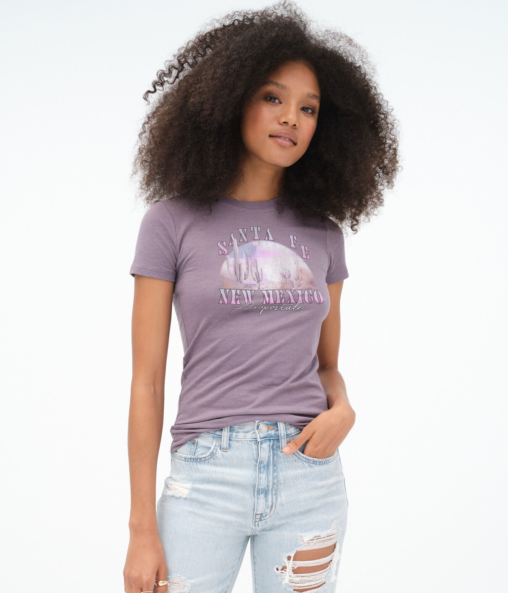 Santa Fe New Mexico Graphic Tee