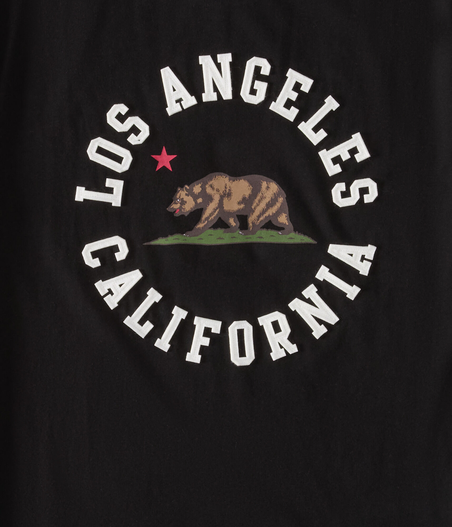 Los Angeles California Bear Appliqu&eacute; Graphic Tee