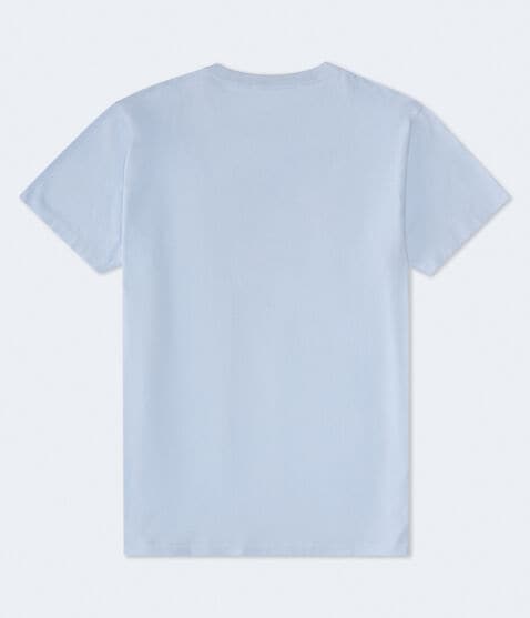 Aeropostale 1987 Arch Appliqué Graphic Tee