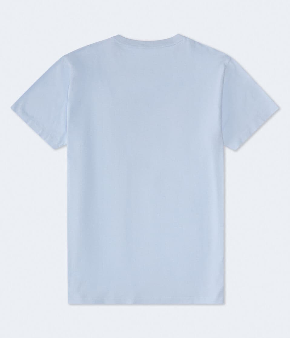 Aeropostale 1987 Arch Appliqué Graphic Tee