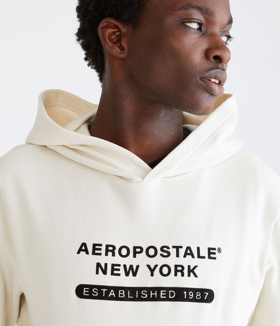 Aeropostale New York Pullover Hoodie