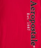 Aeropostale Vertical Appliqué Graphic Tee