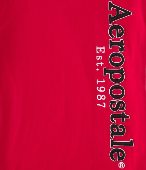 Aeropostale Vertical Appliqué Graphic Tee Aeropostale Vertical Appliqué Graphic Tee