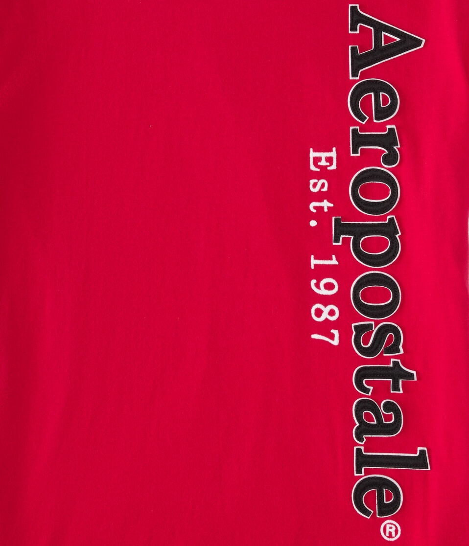 Aeropostale Vertical Appliqué Graphic Tee