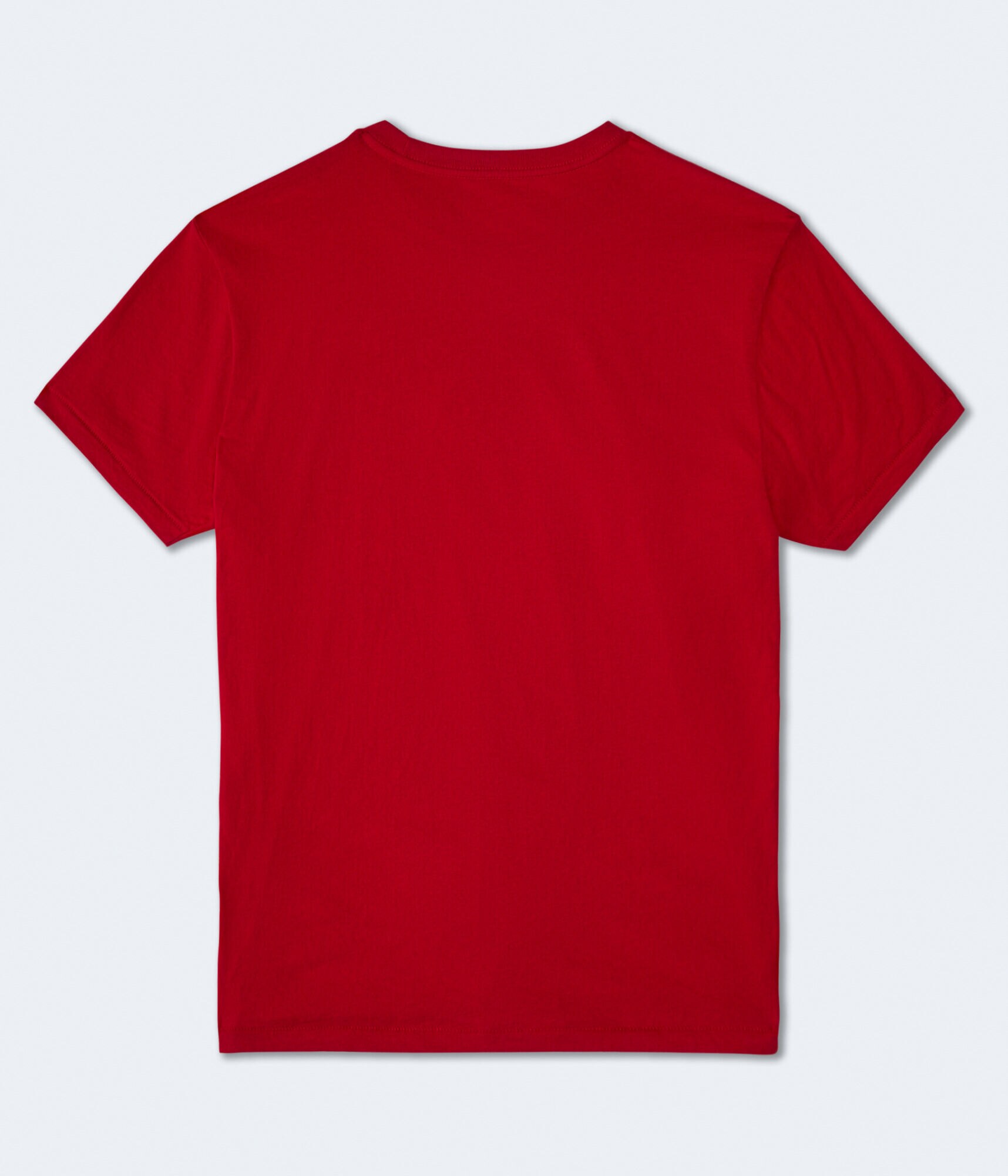 Aero 1987 Oval Flocked Graphic Tee