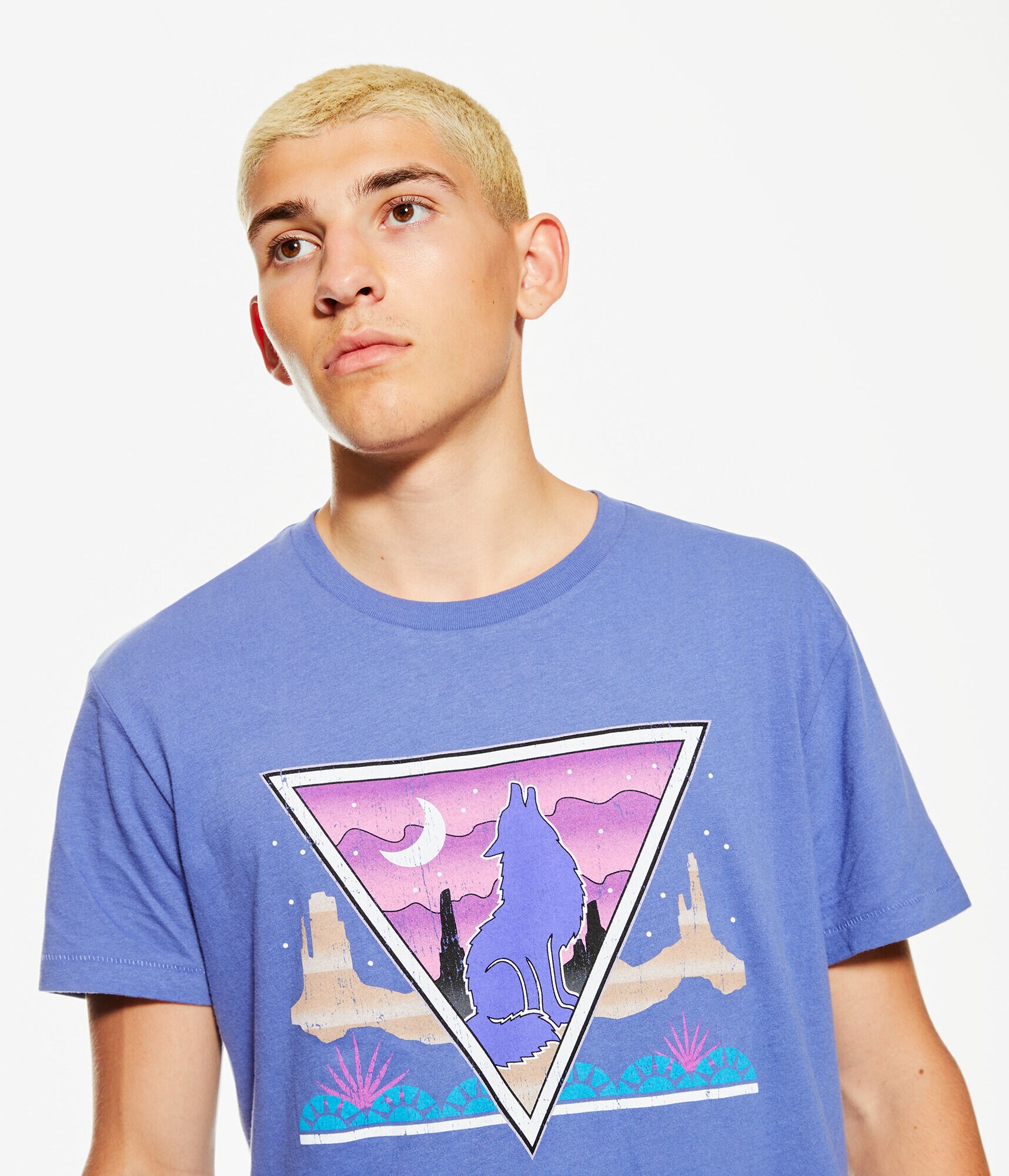 Wolf Desert Graphic Tee