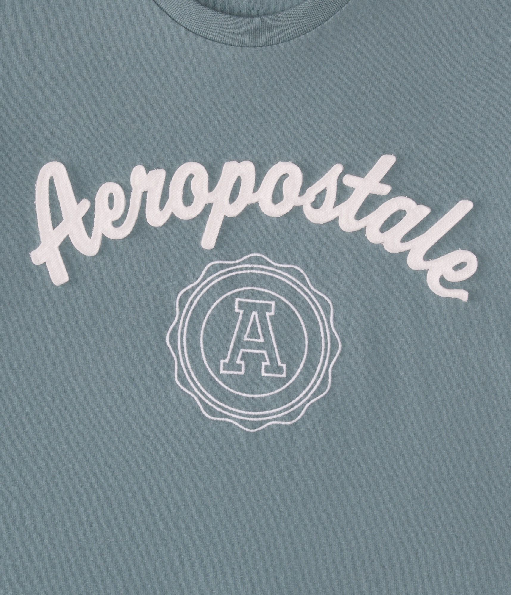 Aeropostale Crest Appliqu&eacute; Graphic Tee