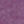 FUCSHIA PURPLE
