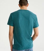 Aeropostale Script Logo Appliqué Graphic Tee
