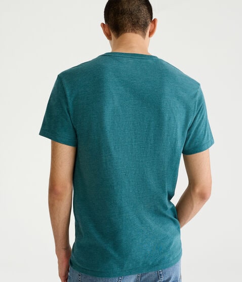 Aeropostale Script Logo Appliqué Graphic Tee