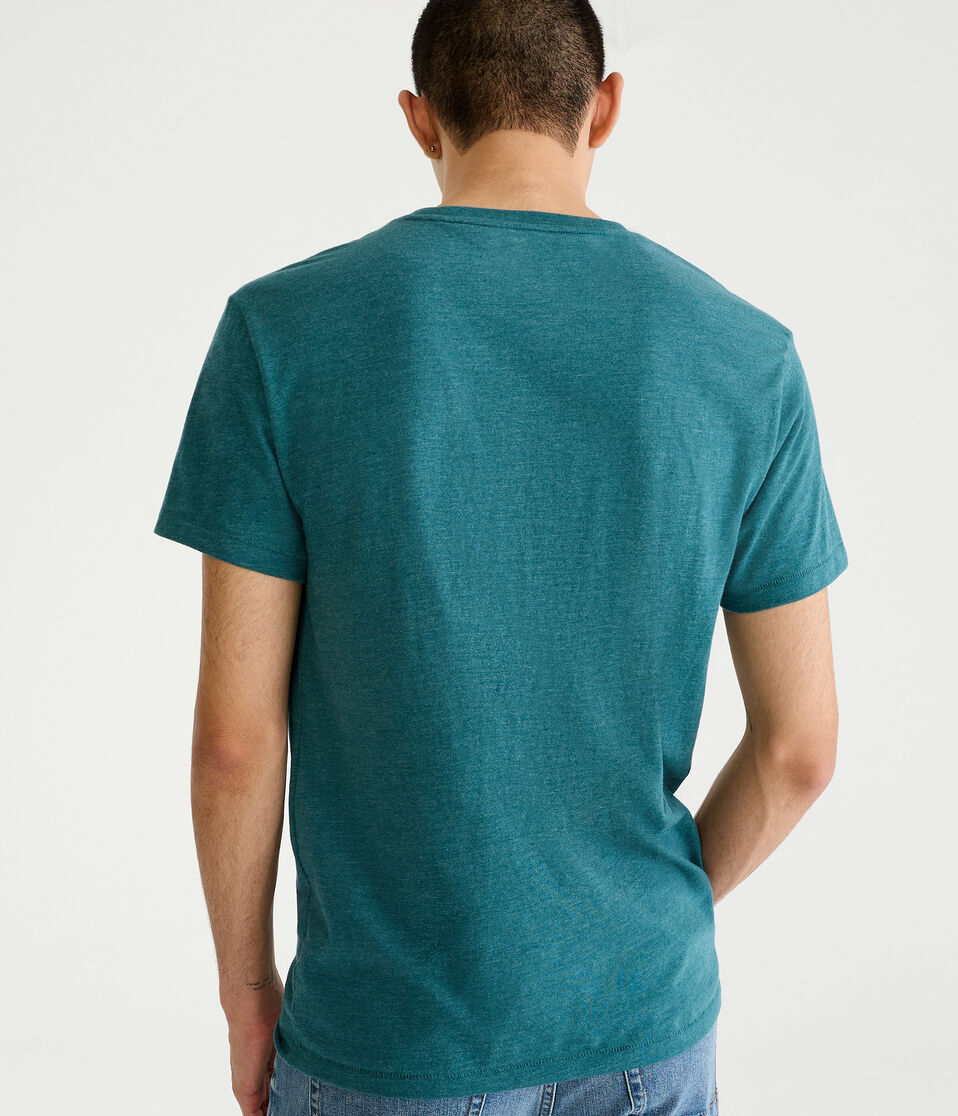 Aeropostale Script Logo Appliqué Graphic Tee