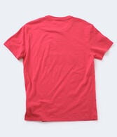 Aero Flag Circle Applique Graphic Tee