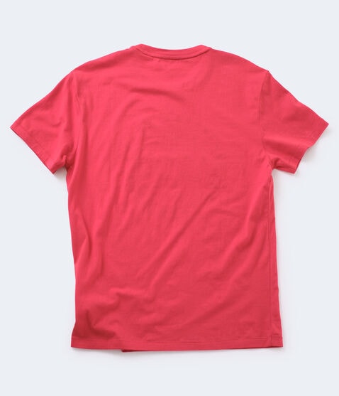 Aero Flag Circle Applique Graphic Tee Aero Flag Circle Applique Graphic Tee