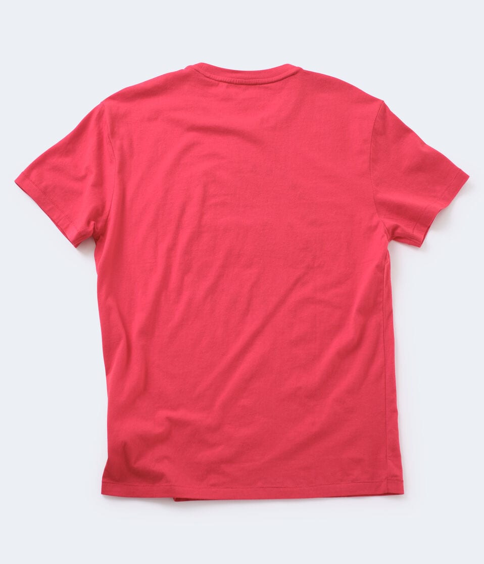 Aero Flag Circle Applique Graphic Tee