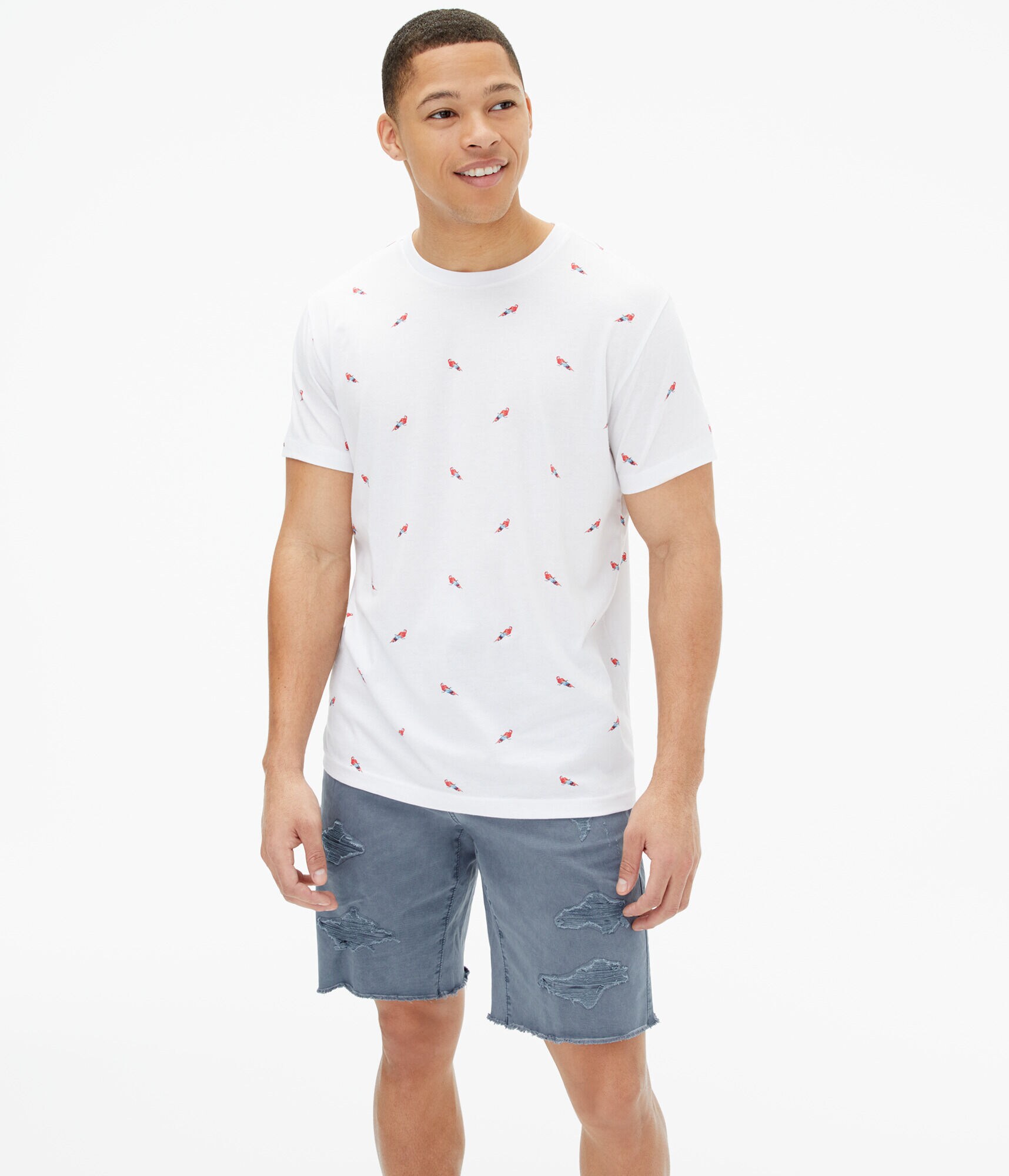 Parrot Print Graphic Tee