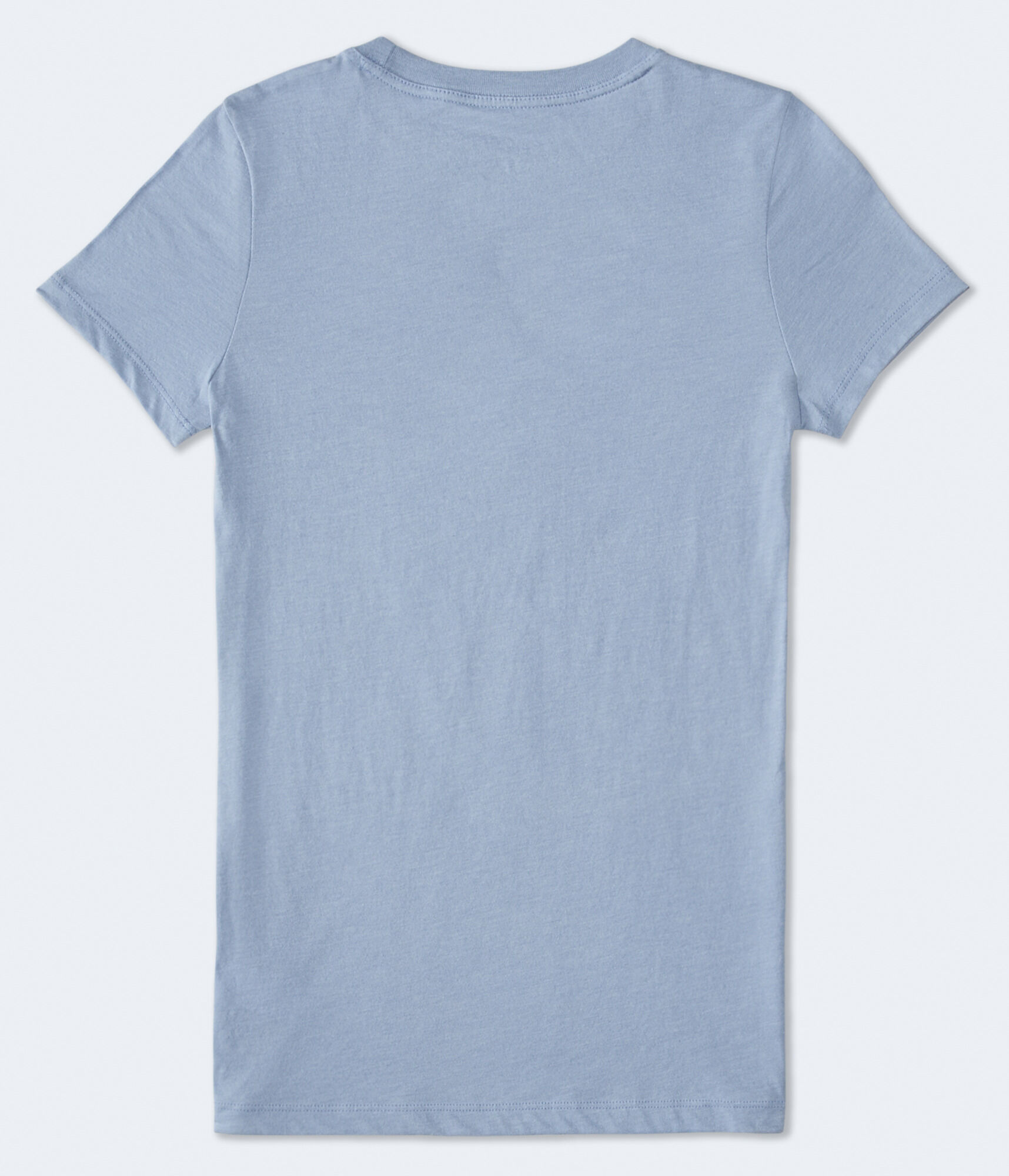 Aero 87 Palm Tree Foil Graphic Tee