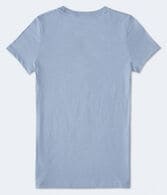 Aero 87 Palm Tree Foil Graphic Tee