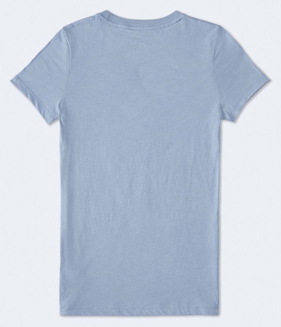 Aero 87 Palm Tree Foil Graphic Tee