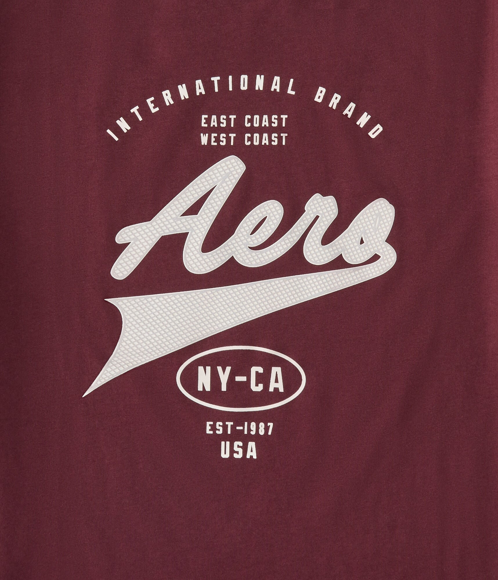Aero Script Logo Graphic Tee