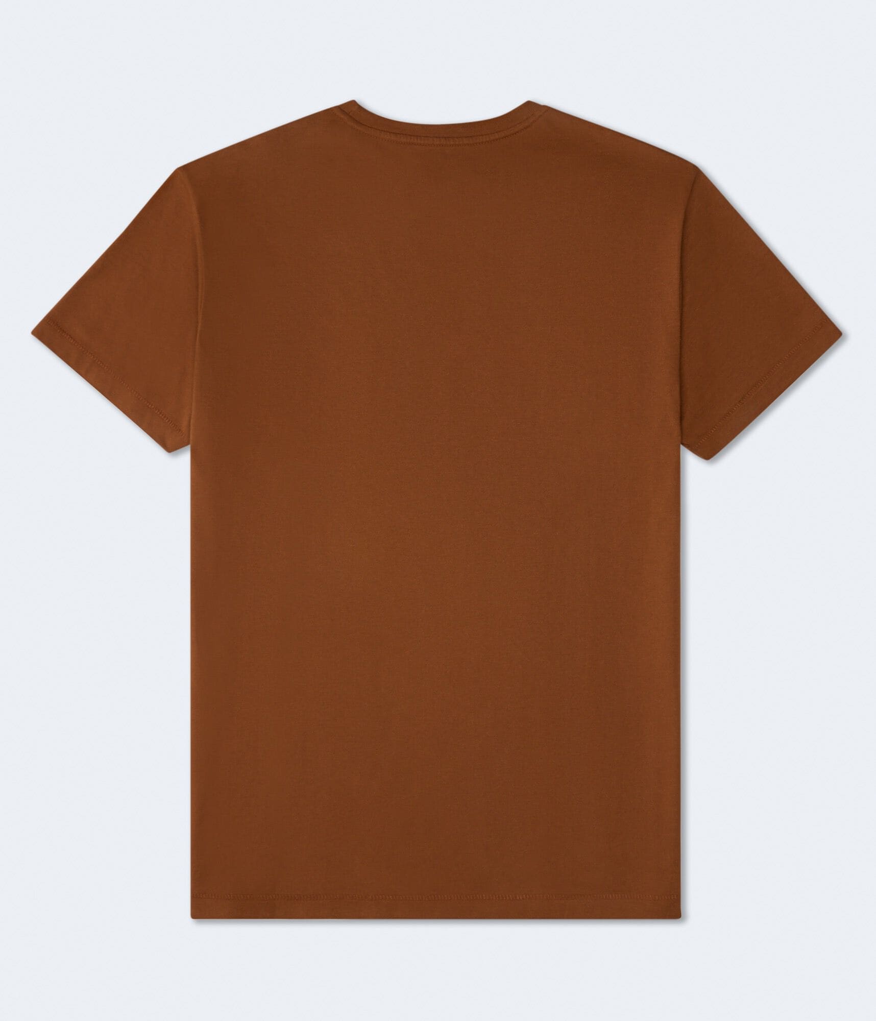 Aeropostale Laurel Flocked Graphic Tee