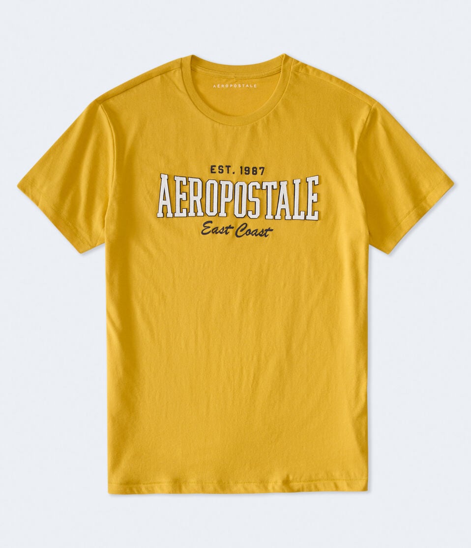 Aeropostale East Coast Appliqué Graphic Tee