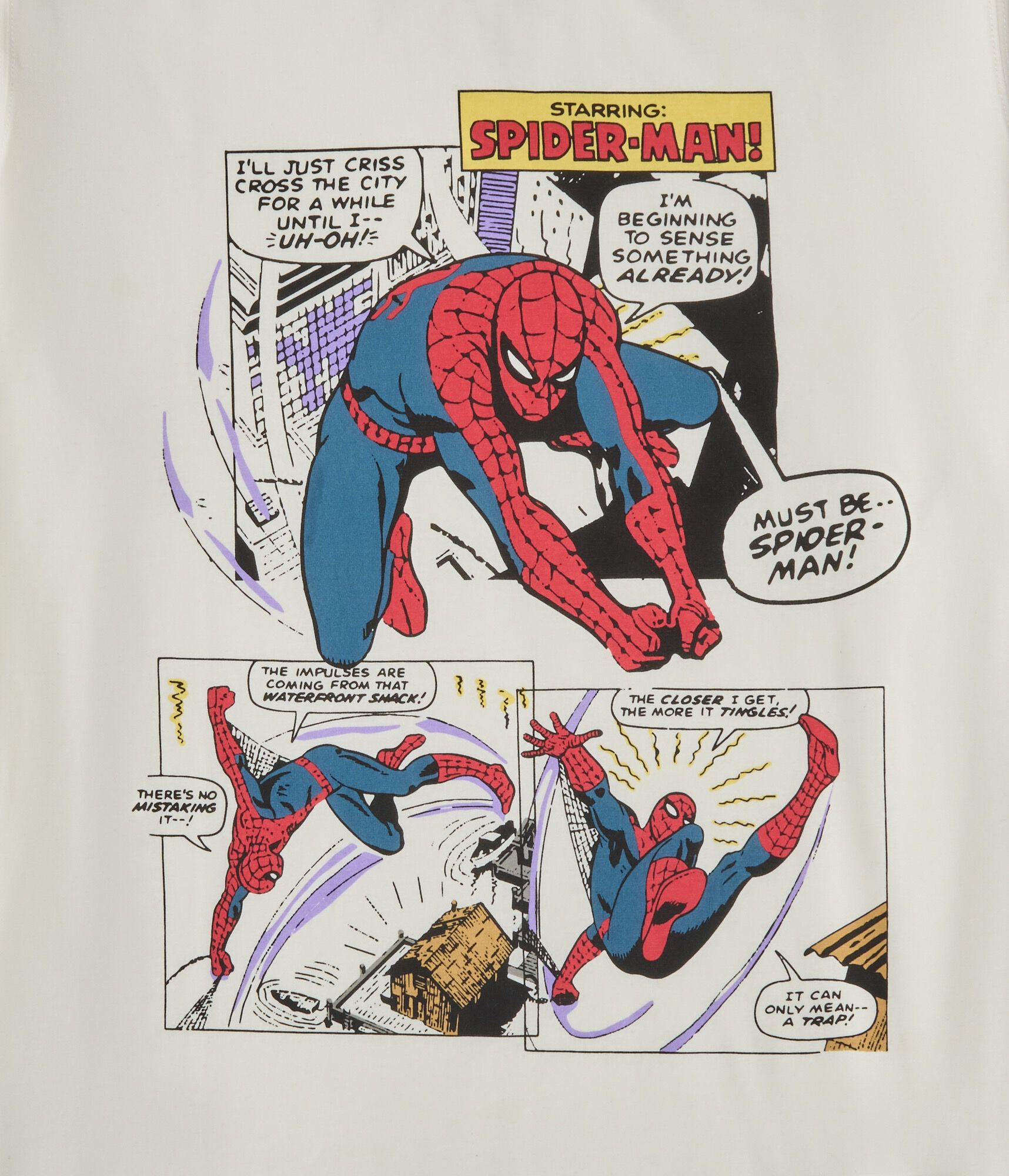 Starring Spider-Man Relaxed Graphic Tee