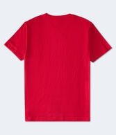 Aero NYC USA Flocked Graphic Tee