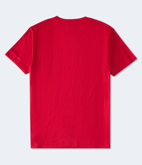 Aero NYC USA Flocked Graphic Tee