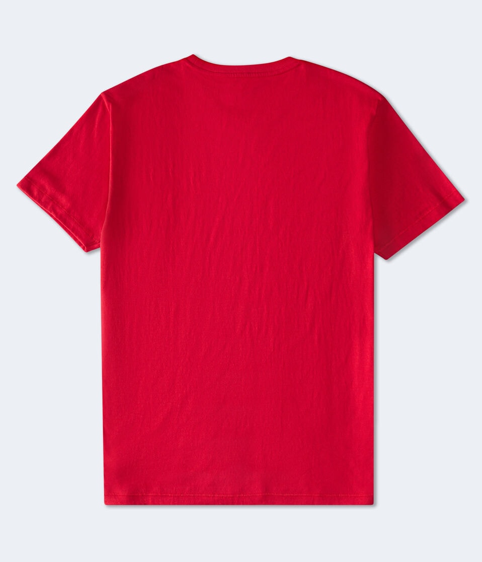 Aero NYC USA Flocked Graphic Tee