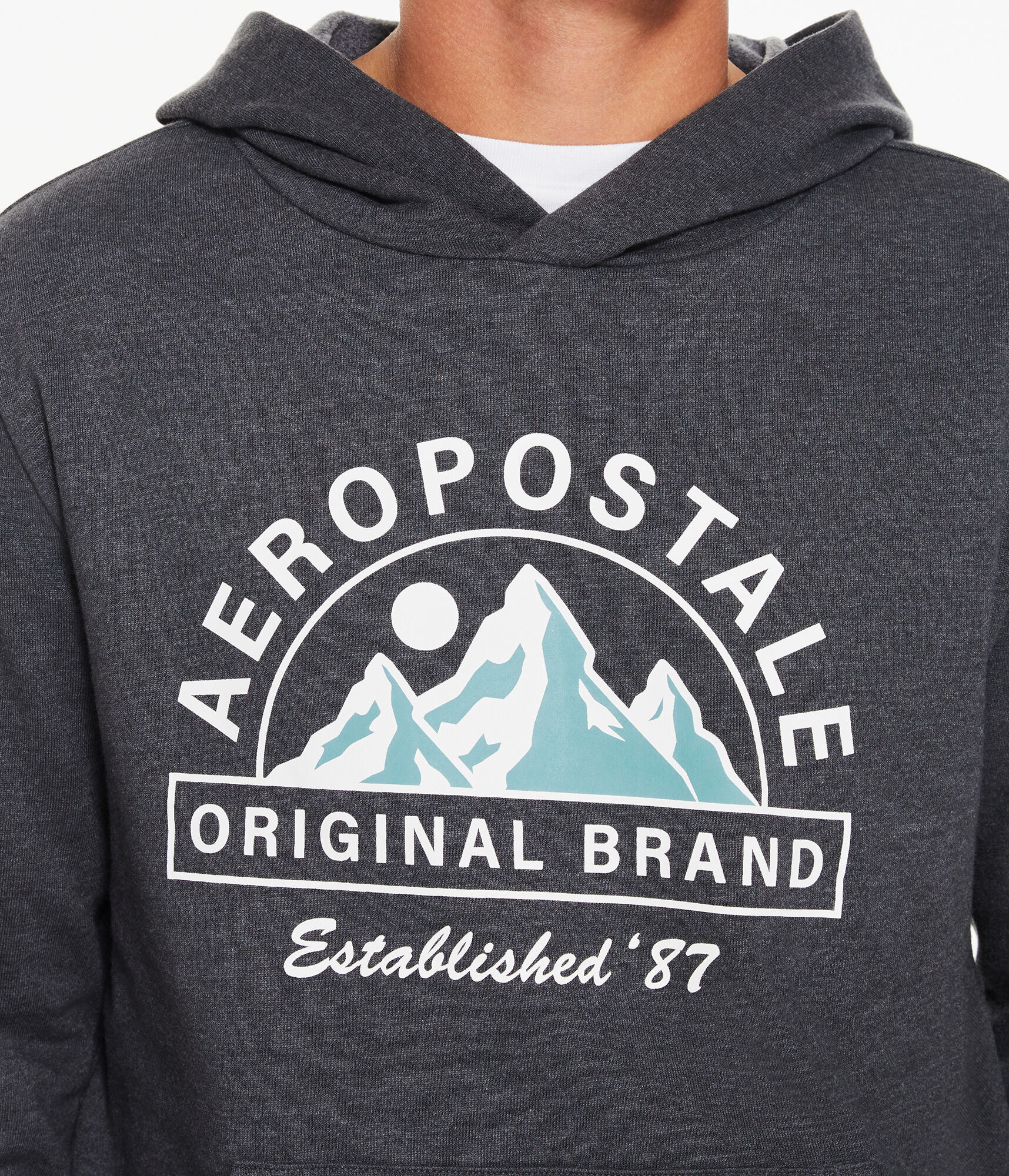 Aeropostale Mountains Pullover Hoodie