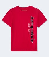 Aeropostale Vertical Appliqué Graphic Tee