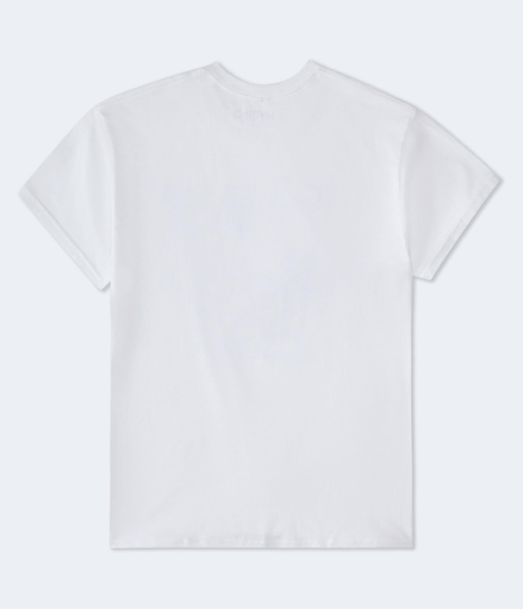 Claude Monet Oversized Graphic Tee
