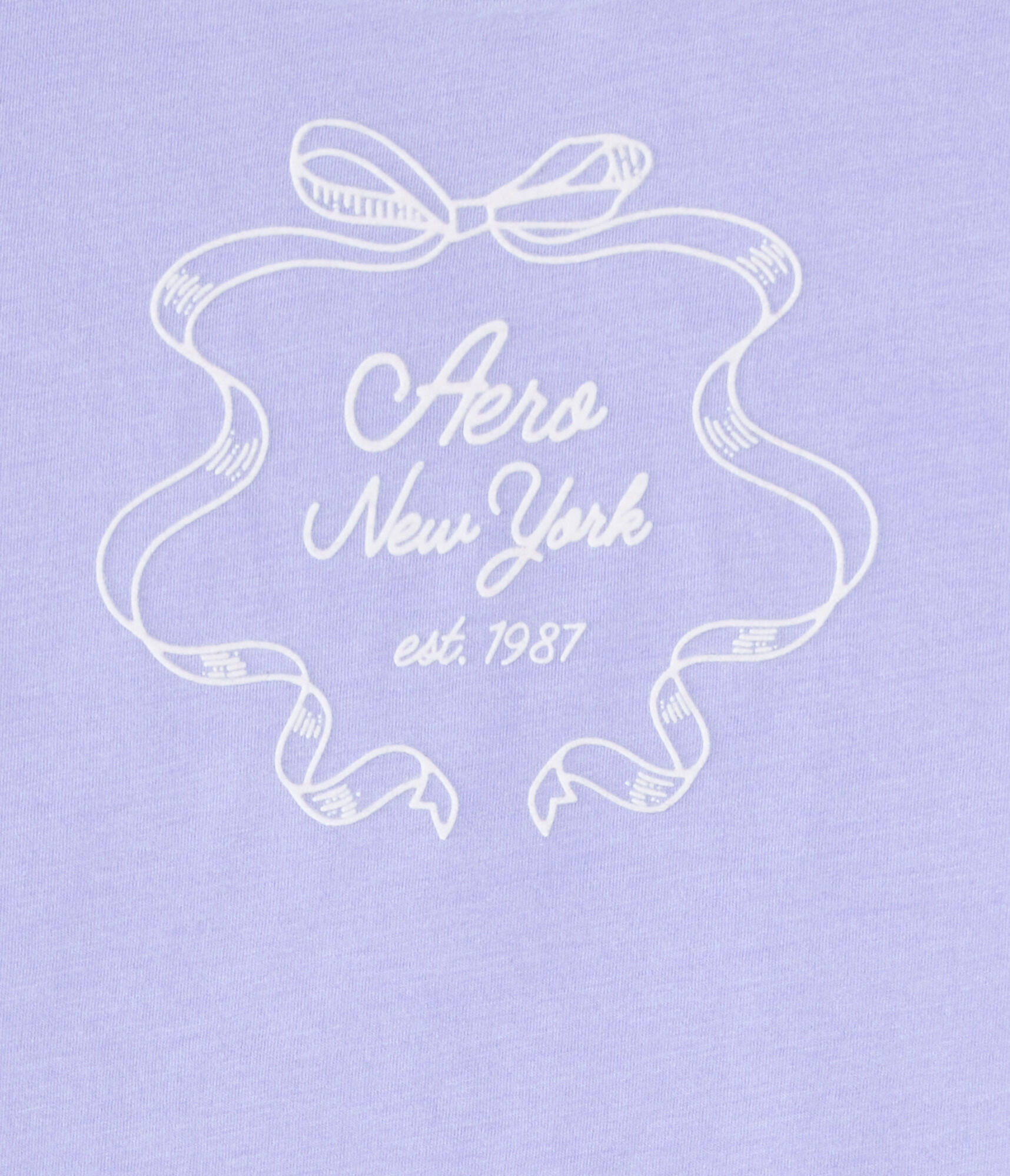 Aero New York Ribbon Flocked Graphic Tee