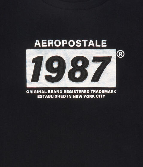 Aeropostale 1987 Box Logo Appliqué Graphic Tee Aeropostale 1987 Box Logo Appliqué Graphic Tee
