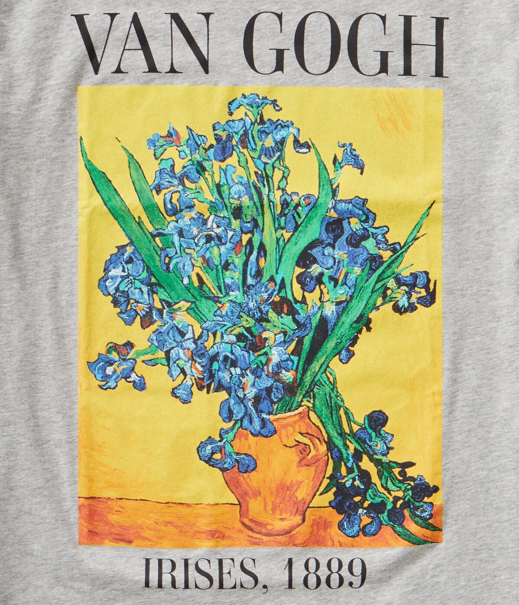 Van Gogh Irises Graphic Tee