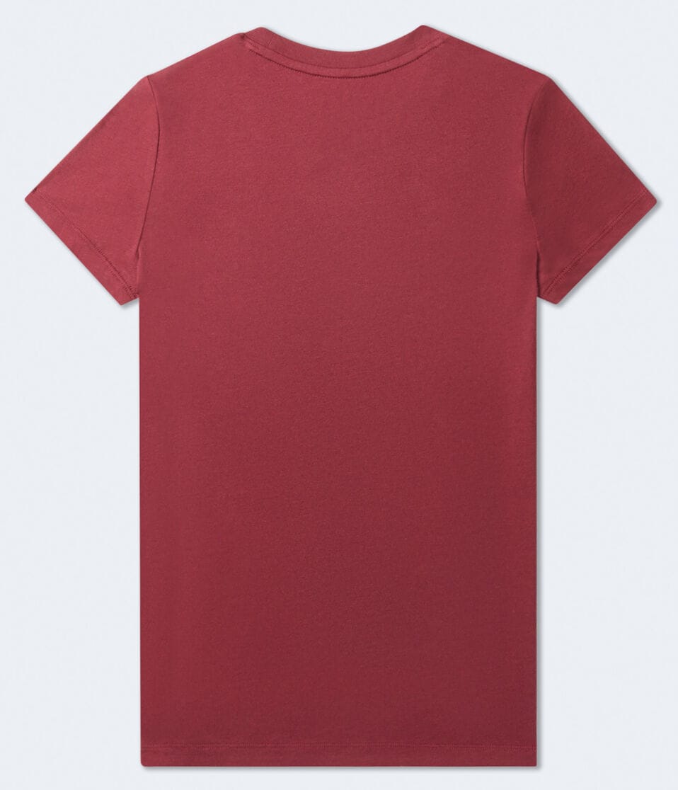 Aeropostale Palm Tree Graphic Tee