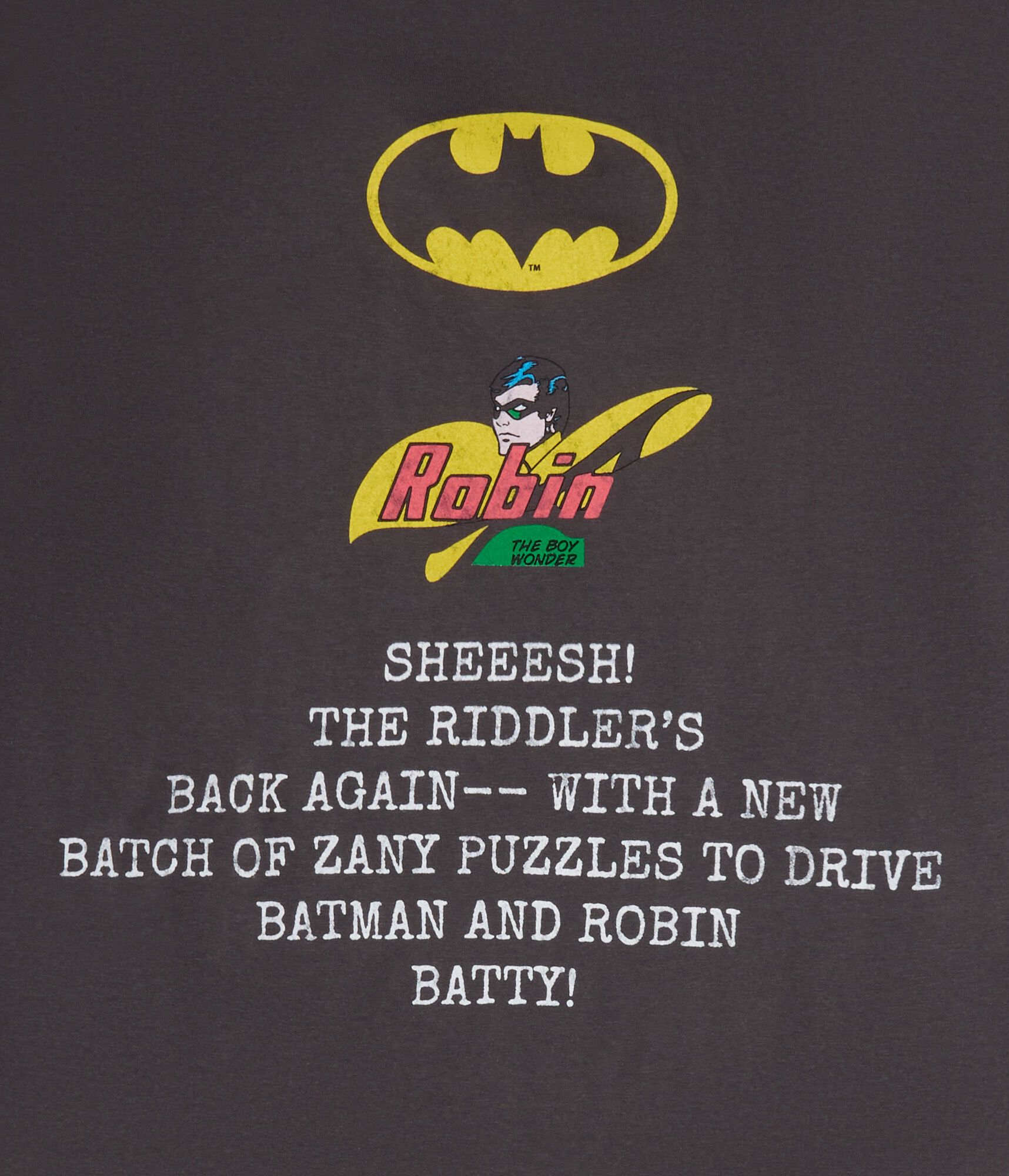 Batman And Robin Relaxed Graphic Tee