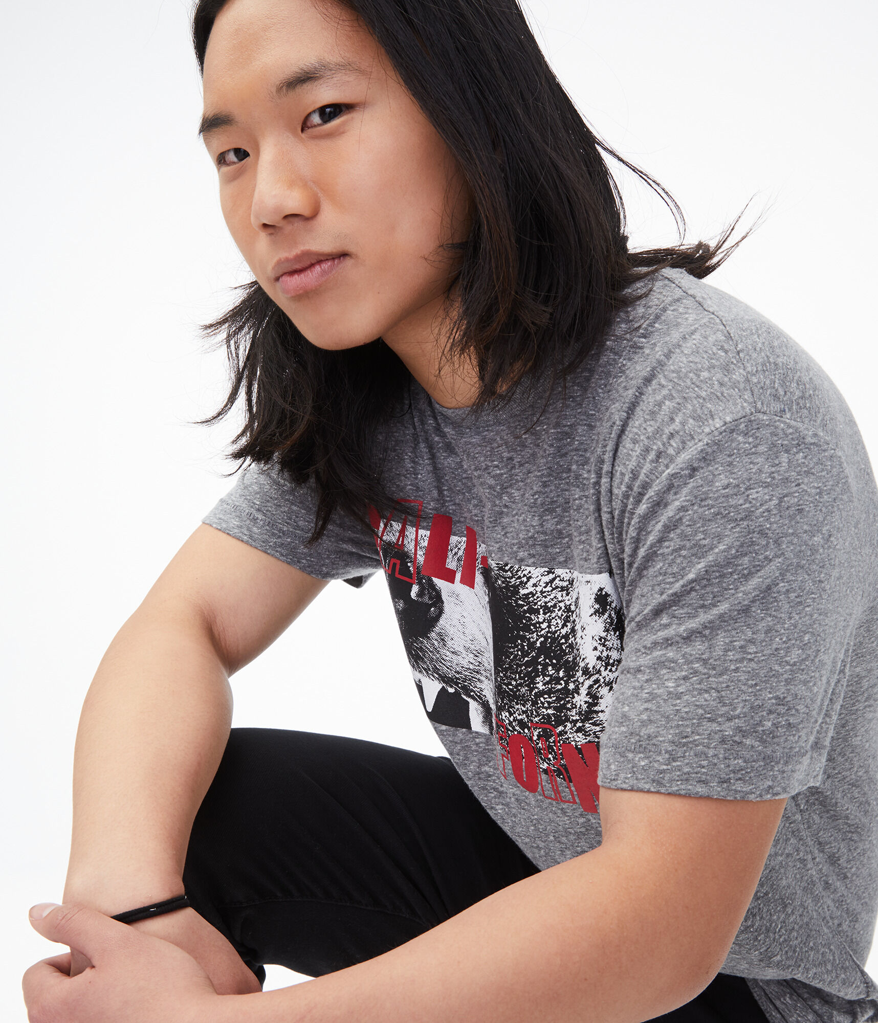 California Angry Bear Graphic Tee