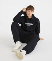 Aeropostale Logo Heritage Pullover Hoodie