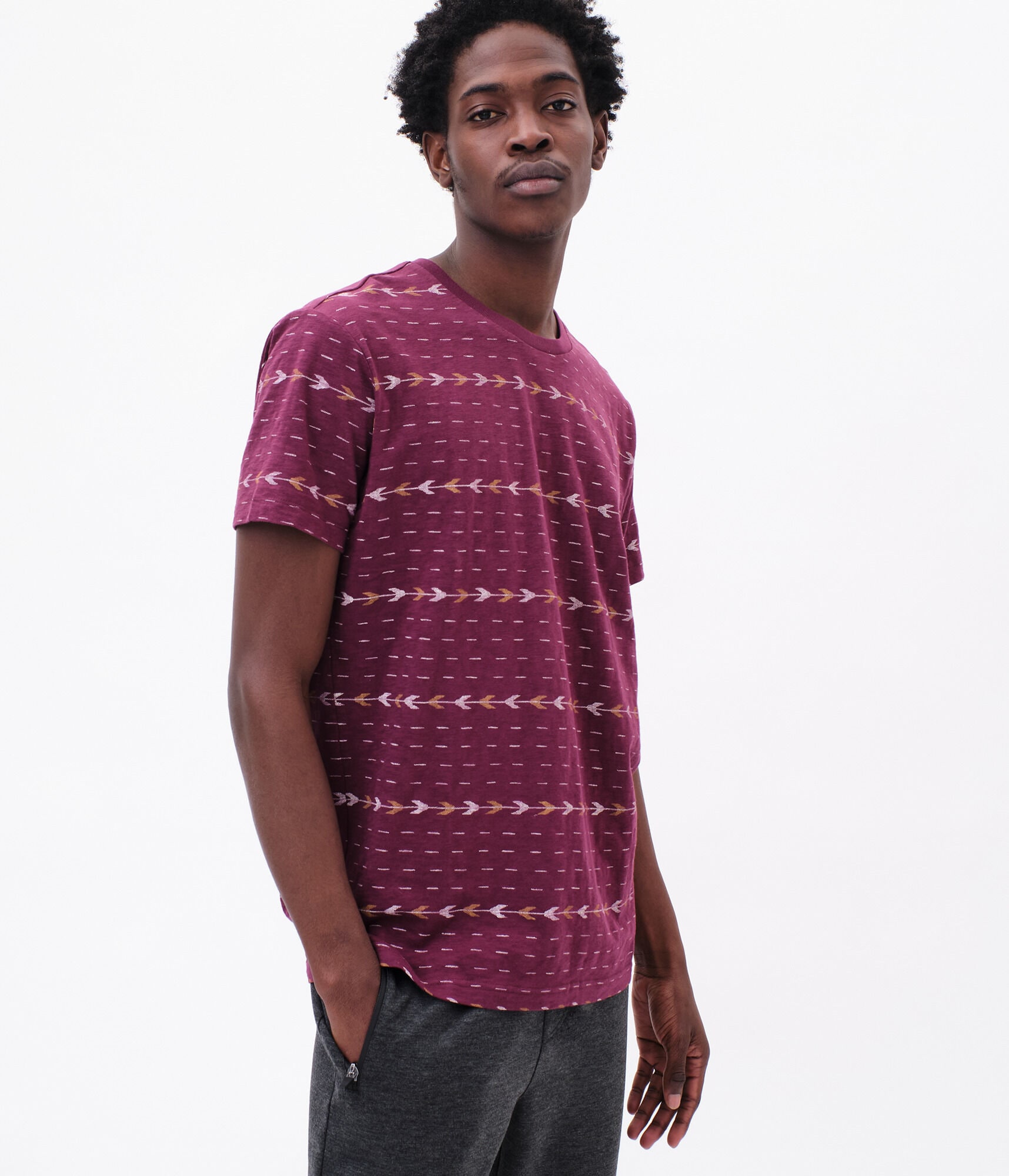 Arrow Stripe Graphic Tee