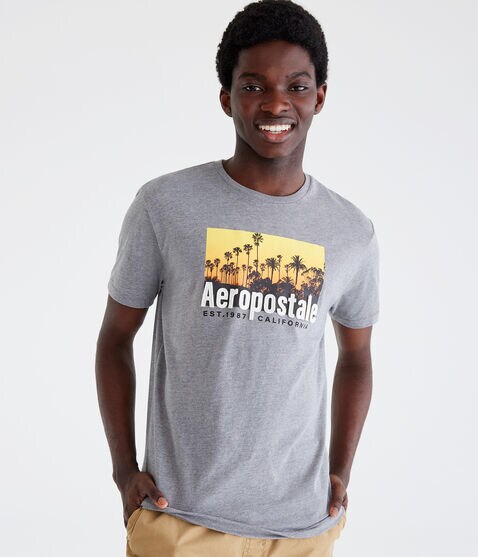 Aeropostale Cali Palms Appliqué Graphic Tee Aeropostale Cali Palms Appliqué Graphic Tee