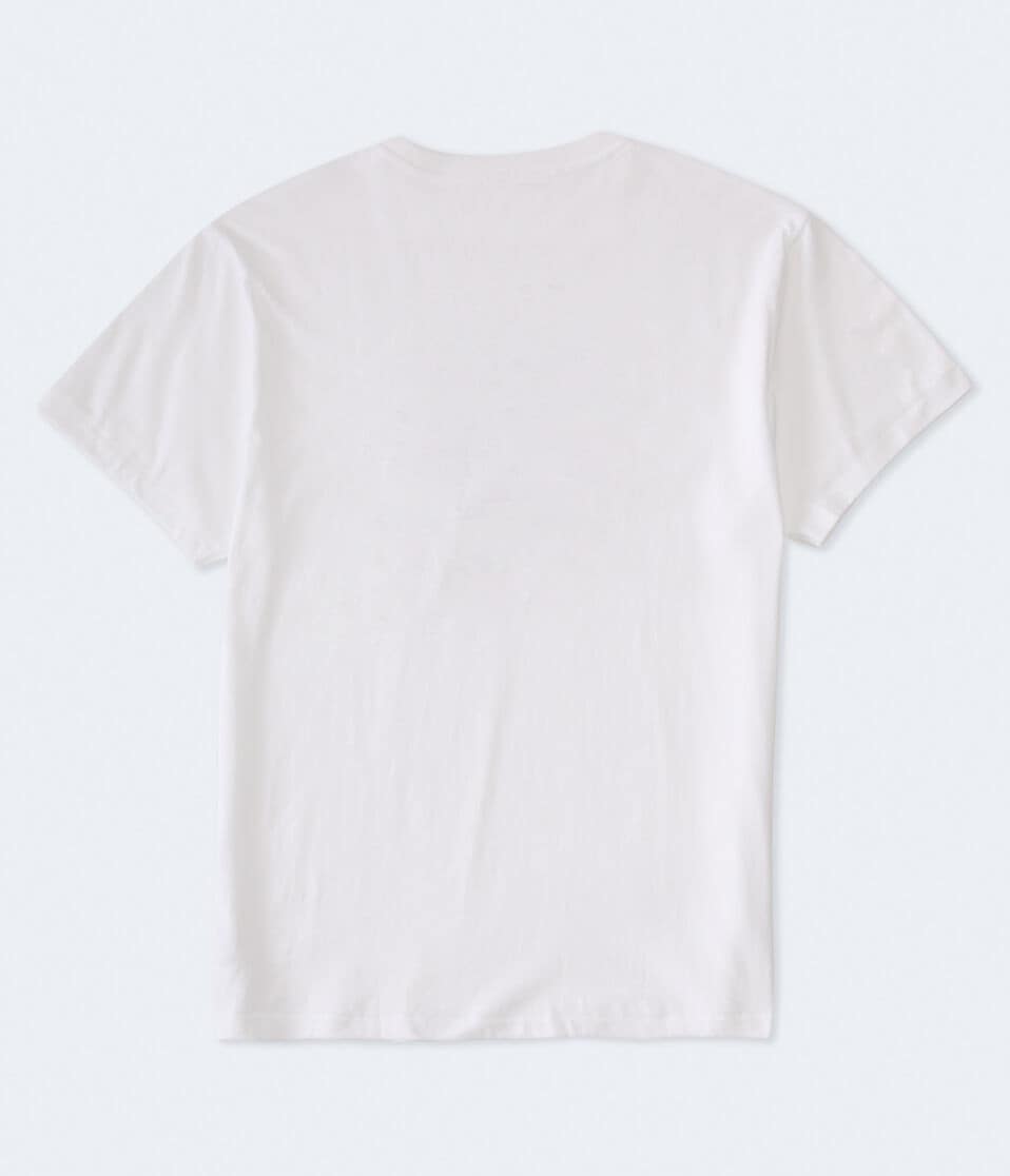 Aero California Bear Appliqué Graphic Tee