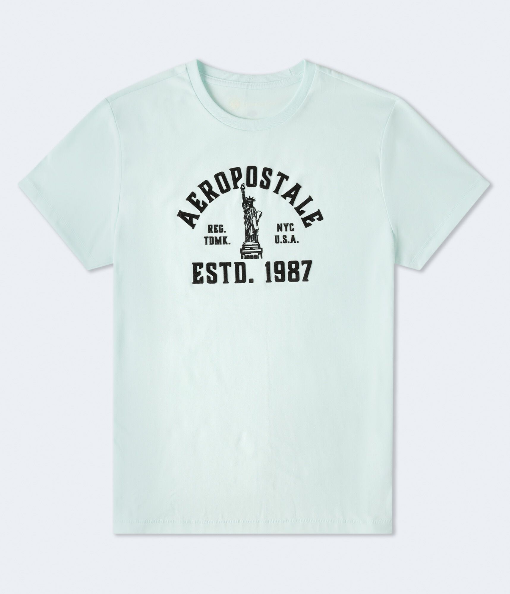 Aeropostale Liberty Flocked Graphic Tee